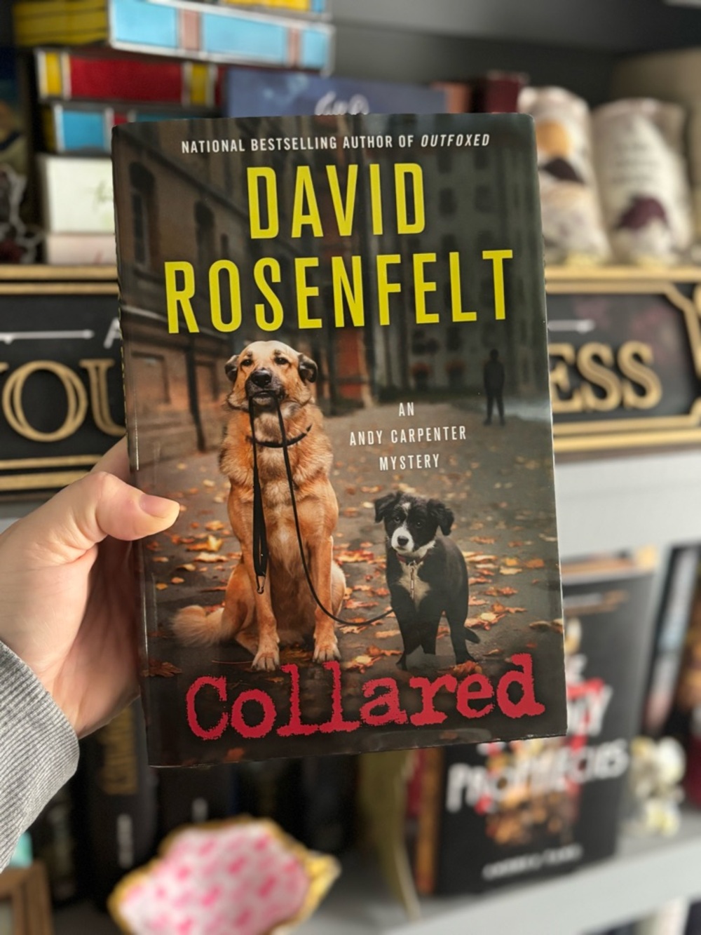 Collared by David Rosenfelt (Hardcover Book)